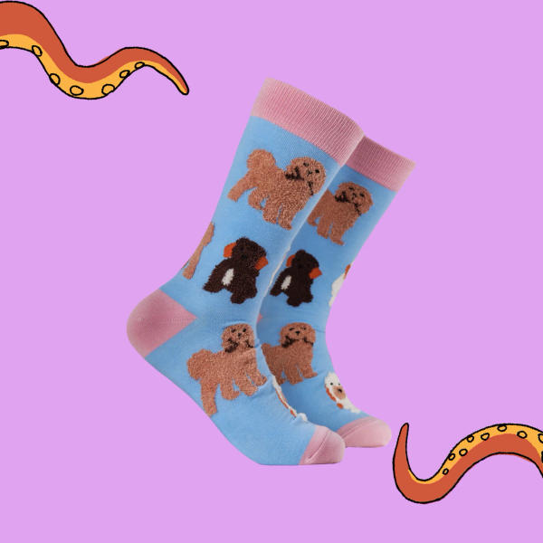 Socktopus - Fluffy Cockapoo