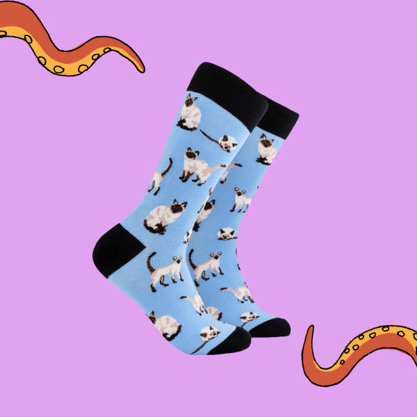Socktopus - Siamese Cat
