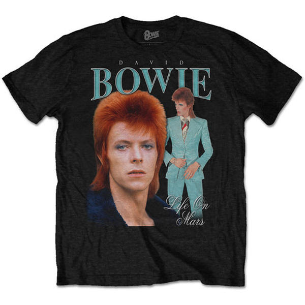 David Bowie - Life On Mars Homage (Small)
