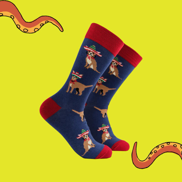 Socktopus - Chihuahua