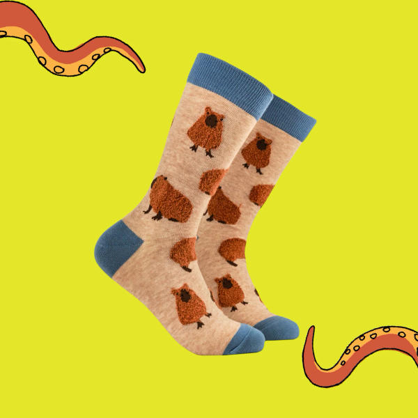 Socktopus - Capybara Fluffies