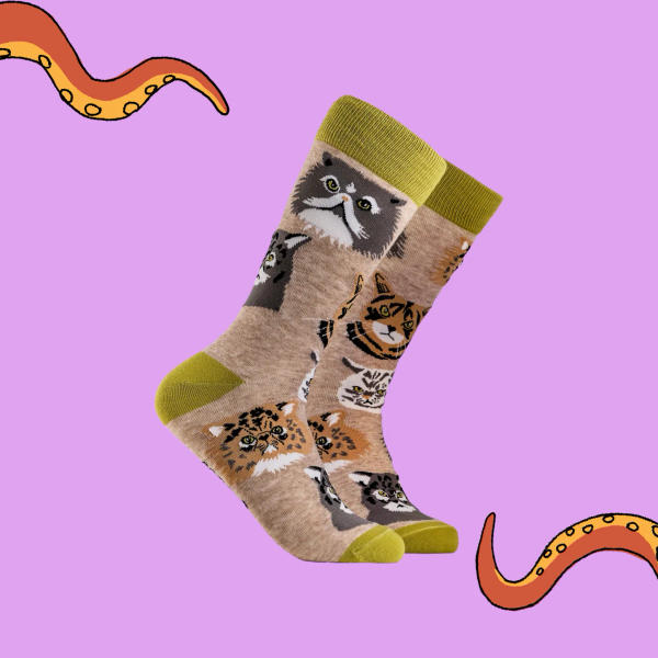 Socktopus - Grumpy Cats