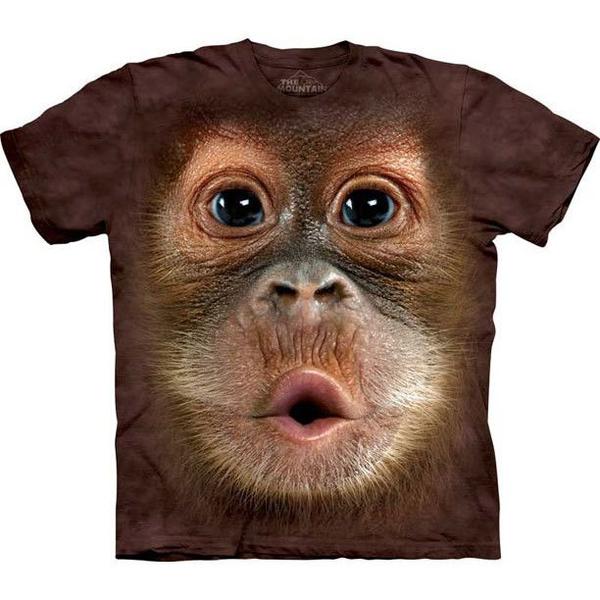Somdiff - Big Face Baby Orangutang (Medium)