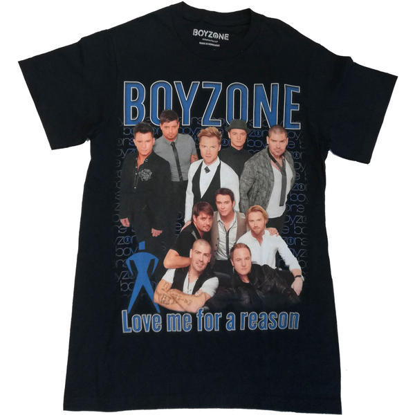 Boyzone - Love Me For A Reason Homage (Small)