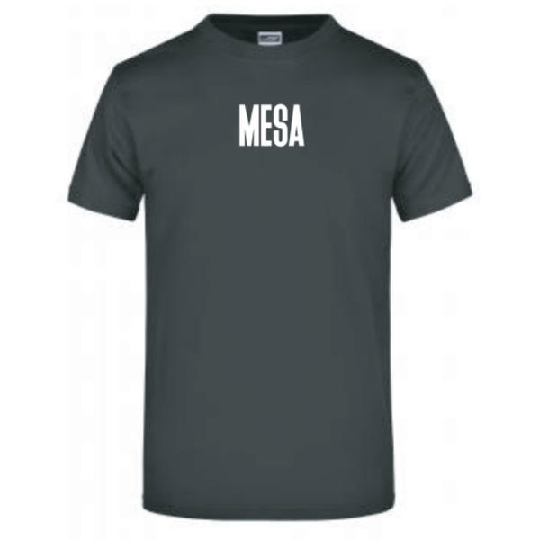 Mesa - Logo (Small)