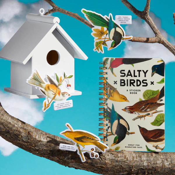 Brass Monkey - Salty Birds Sticker Book