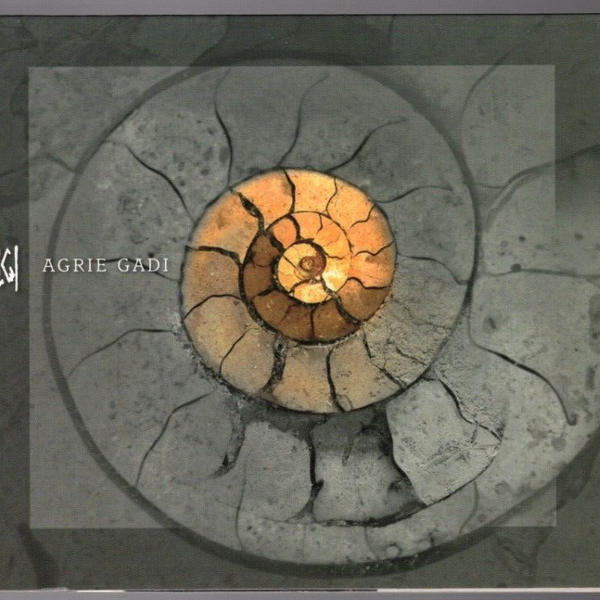 Iļģi - Agrie Gadi (+ Rāmi Rāmi) (2LP)