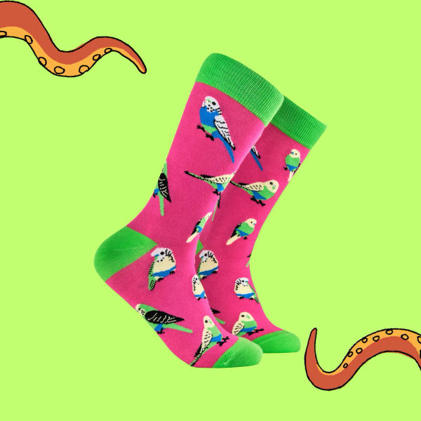 Socktopus - Budgie Smugglers