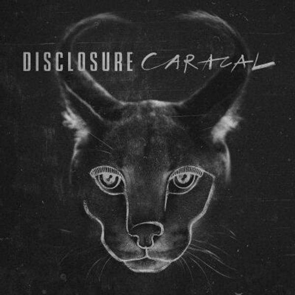 Disclosure - Caracal (Caracal)