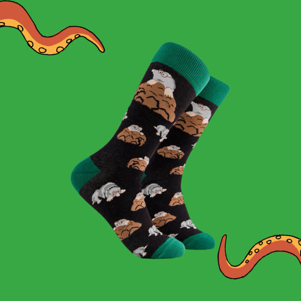 Socktopus - Moles
