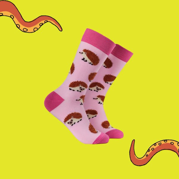 Socktopus - Fluffy Hedgehogs